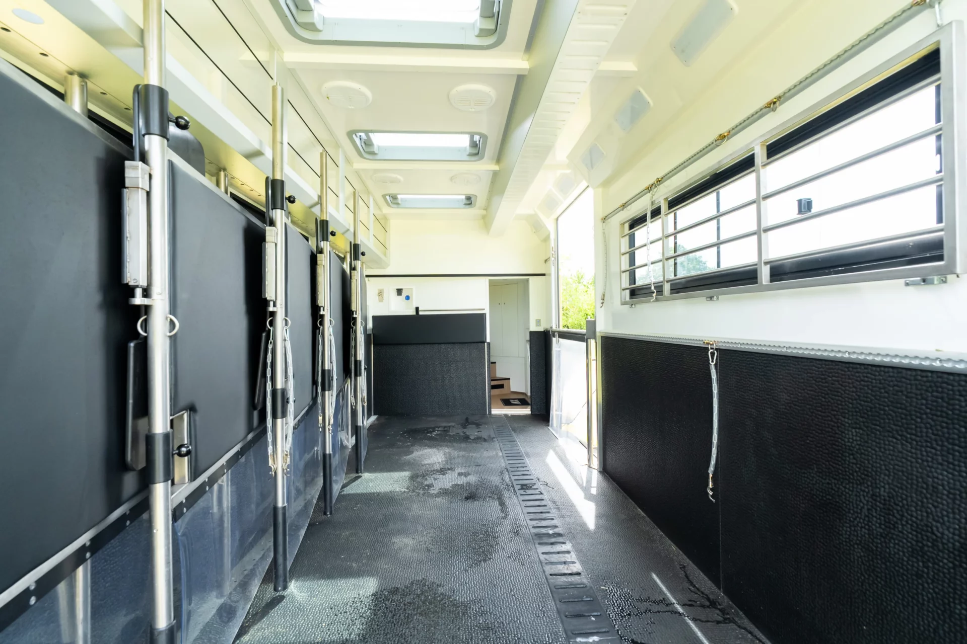 GP Renting – Vermietung von Pferdetransportern (136)